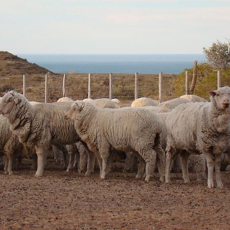 La Antonieta Estancia De Mar Dos Pozos 外观 照片