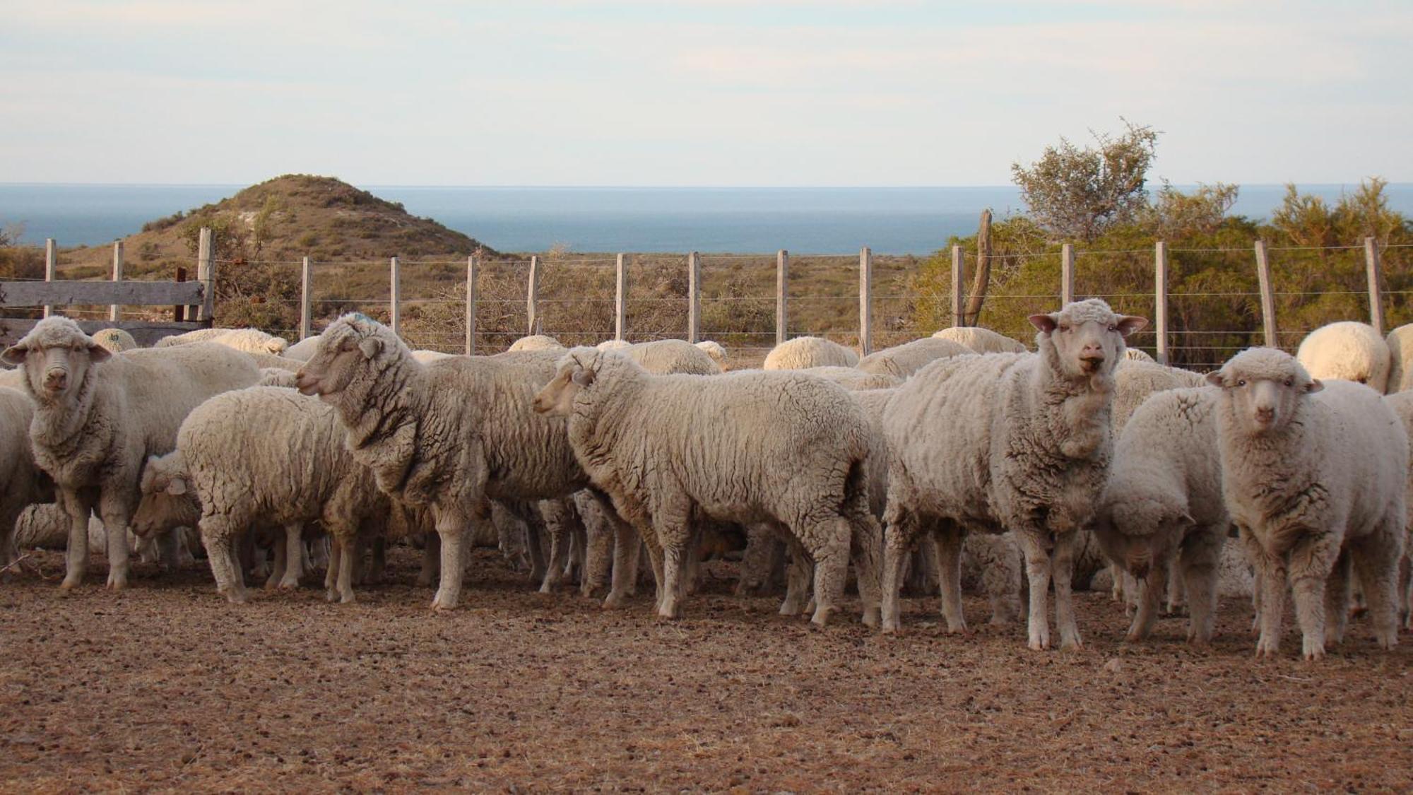 La Antonieta Estancia De Mar Dos Pozos 外观 照片