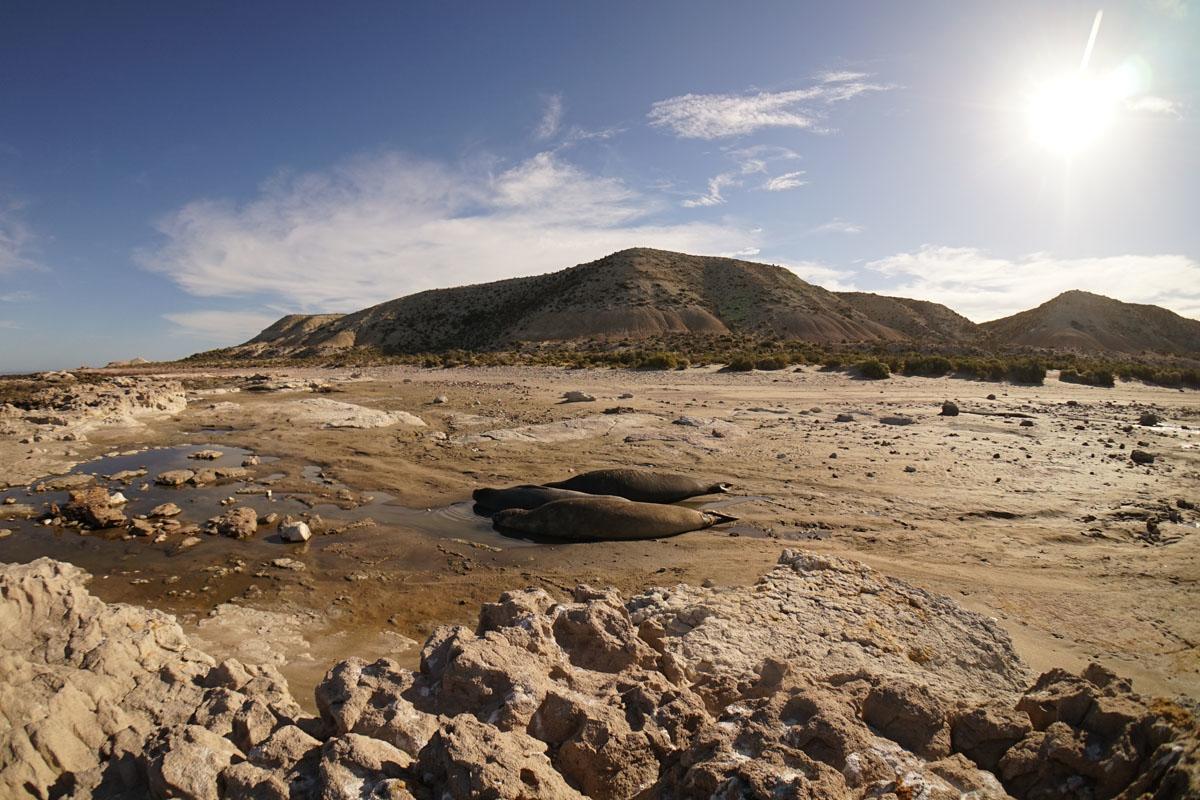 La Antonieta Estancia De Mar Dos Pozos 外观 照片